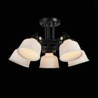 Люстра на штанге EVOLUCE SL714 SL714.402.05