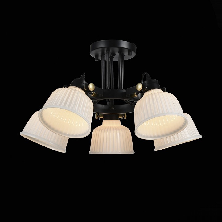Люстра на штанге EVOLUCE SL714 SL714.402.05