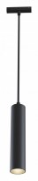 Подвесной светильник Maytoni Focus LED TR016-2-12W3K-B