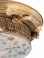 Накладной светильник Odeon Light Capua 2642/5C