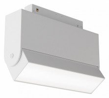 Накладной светильник Maytoni Basis Rot TR075-2-10W3K-W