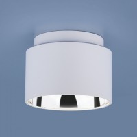 Накладной светильник Elektrostandard Charlie 1069 GX53