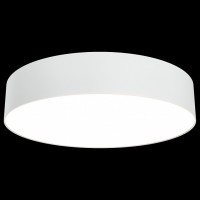 Накладной светильник Maytoni Zon C032CL-L43W3K