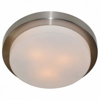 Накладной светильник Arte Lamp Aqua A8510PL-3SS
