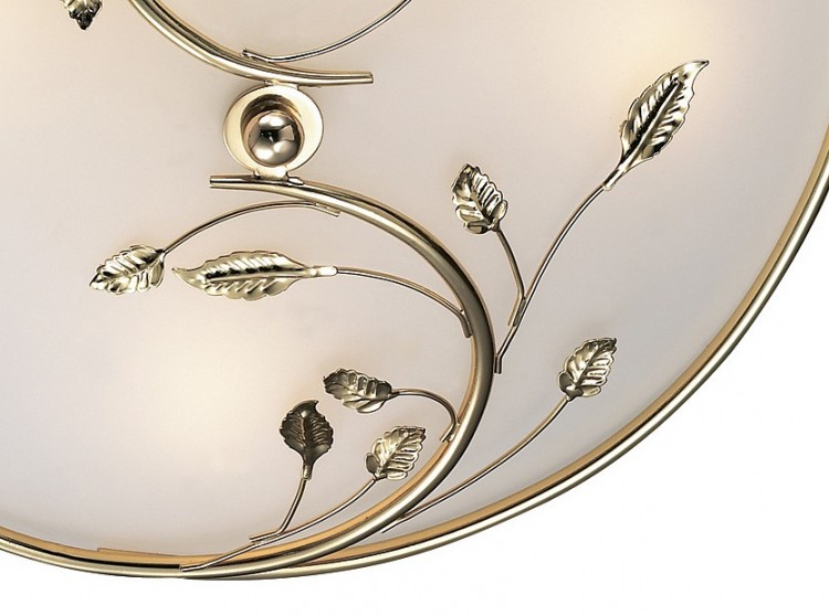 Накладной светильник Odeon Light Regana 2728/4C