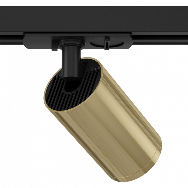 Светильник на штанге Maytoni Focus S TR020-1-GU10-BG