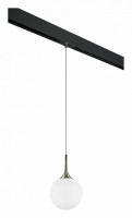Подвесной светильник Lightstar Globo PRO813021