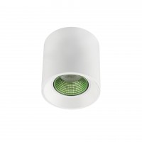 DK3090-WH+GR Светильник накладной IP 20, 10 Вт, GU5.3, LED, белый/зеленый, пластик
