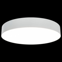 Накладной светильник Maytoni Zon C032CL-L48W3K