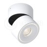 Светильник накладной LH8W White Ledron поворотный LED