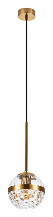 Подвесной светильник Arte Lamp Delacrua A7770SP-1PB