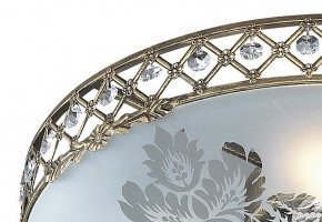 Накладной светильник Odeon Light Aspena 2776/4C