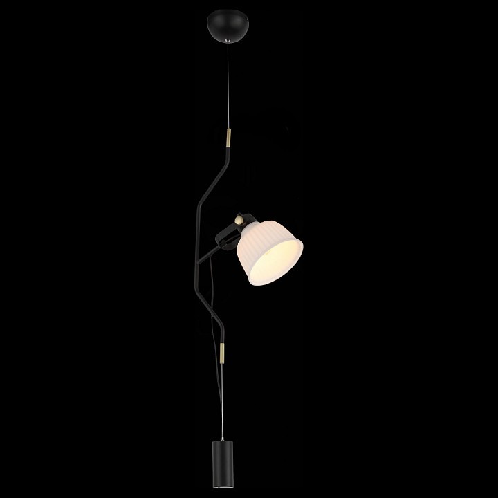 Светильник на растяжке ST-Luce Aletante SL714.413.01