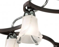 Потолочная люстра Odeon Light Iwo 2237/5С