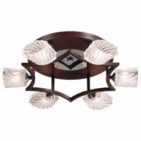 Потолочная люстра Odeon Light Okino 2236/6С