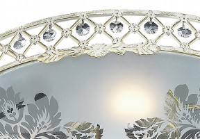 Накладной светильник Odeon Light Aspena 2777/4C