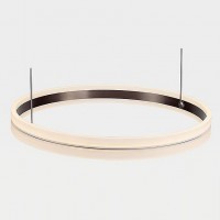 Подвесной светильник L'Arte Luce  L21462.86