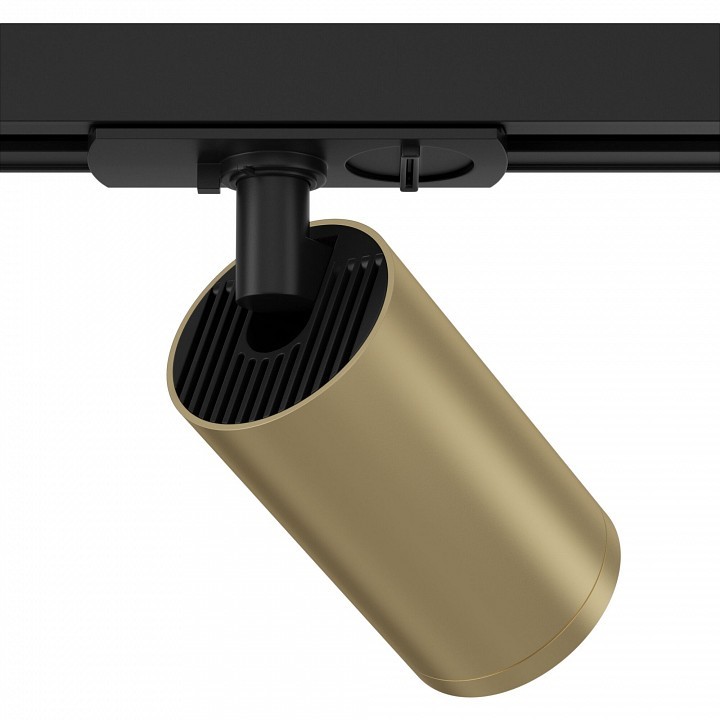 Светильник на штанге Maytoni Focus S TR020-1-GU10-BMG