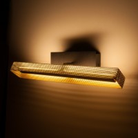Подсветка для картины Elektrostandard Lattice 40003/LED черный/золото