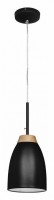Подвесной светильник Loft it Watchman LOFT4402A-BL