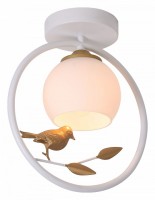 Накладной светильник Escada Song 1113/1P White