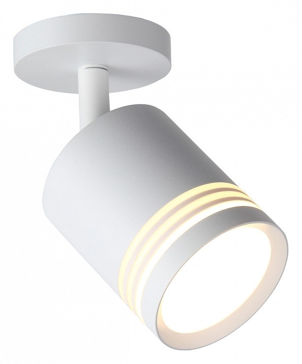 Светильник на штанге ST-Luce Cerione ST101.512.05