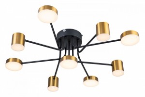 Потолочная люстра Escada Ogma 10235/9LED