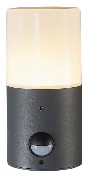 Светильник на штанге Escada Pair 581/1A