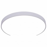 Накладной светильник Arte Lamp Arena A2671PL-1WH