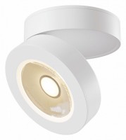 Накладной светильник Maytoni Alivar C022CL-L12W