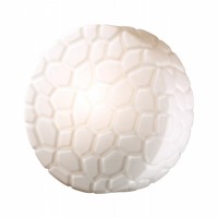 Накладной светильник Odeon Light Luno 2246/1C