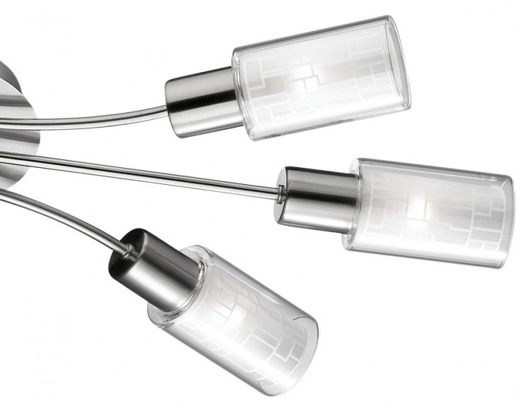 Потолочная люстра Odeon Light Hales 2613/6C