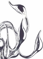 Люстра на штанге Lightstar Cigno Collo 751024