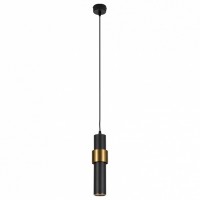 Подвесной светильник Arte Lamp Ran A3144SP-1BK