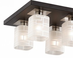 Накладной светильник Odeon Light Campus 2615/6C