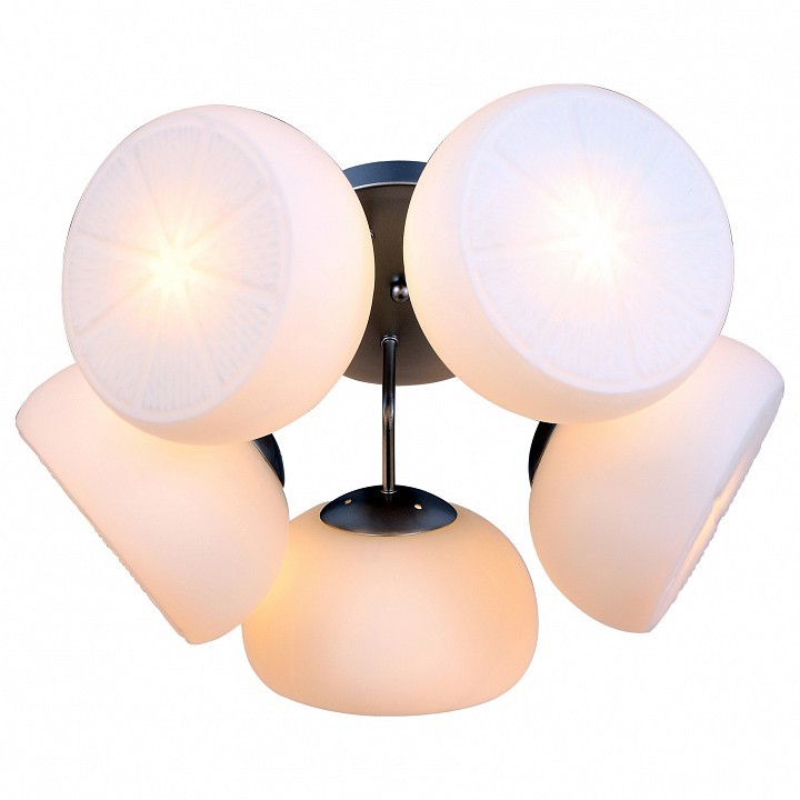 Потолочная люстра ST-Luce Arancio SL482.502.05
