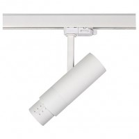 Светильник на штанге Lightstar Fuoco LED 215446