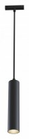 Подвесной светильник Maytoni Focus LED TR016-2-12W4K-B