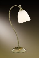 Настольная лампа декоративная Odeon Light Grap 2060/1T
