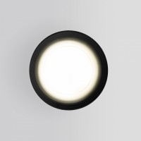 Накладной светильник Elektrostandard Light 35128/H черный