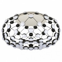 Накладной светильник L'Arte Luce  L45750