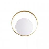 Накладной светильник Odeon Light Mondi 3899/7WW