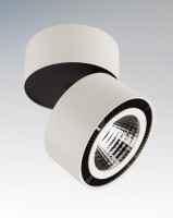 Накладной светильник Lightstar Forte 214810