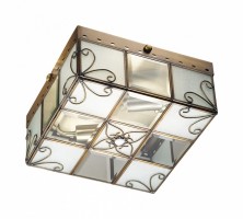 Накладной светильник Odeon Light Guana 2546/2