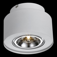 Накладной светильник Arte Lamp Cliff A5643PL-1WH