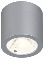 Накладной светильник Favourite Deorsum 2808-1C